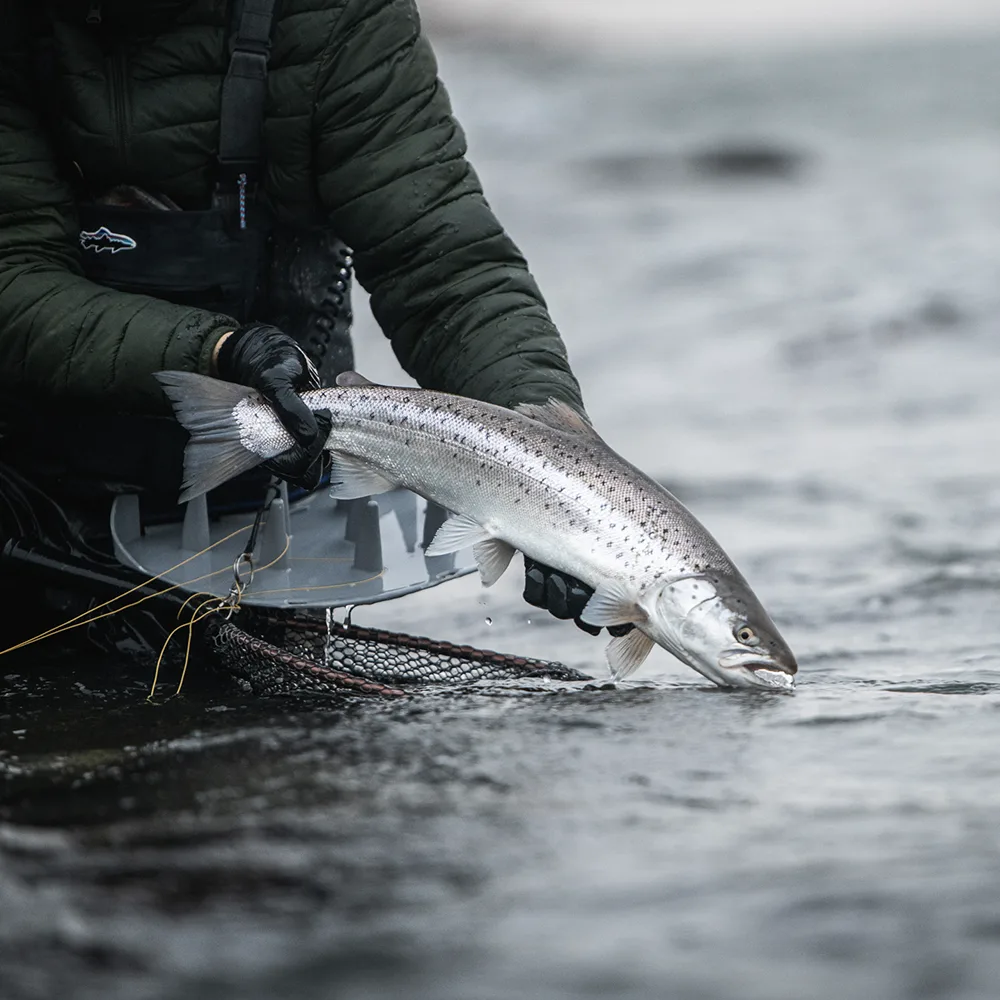 Kalastusvälineitä ja vastuullisia valintoja