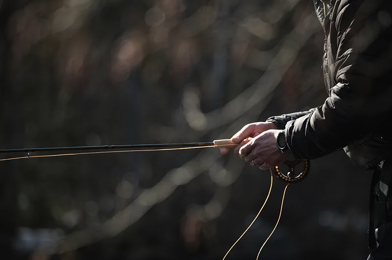 Taimenen elinympäristöä tukeva virtavesi