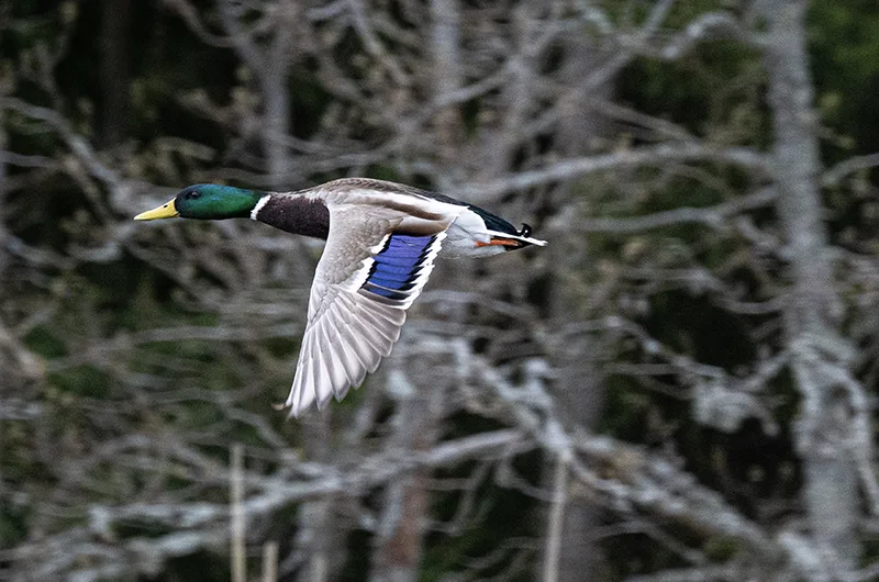 Vaihtoehtoisia materiaalivalintoja kuvaava tunnelma