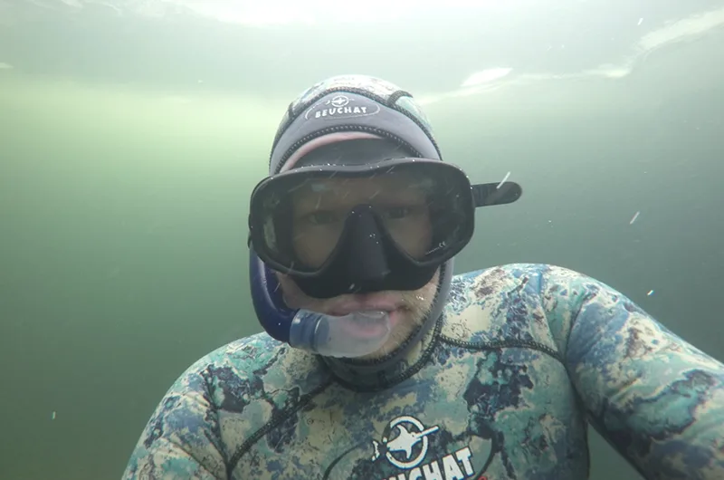 Kunnostettuja vieheitä