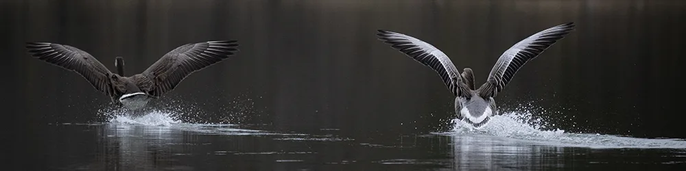 Kalastusvälineisiin ja vastuullisuuteen liittyvä kuva