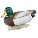 Houkutuskuvat / -kaaveet