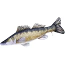 Siirry ryhmään Pehmokalat