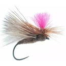 Siirry ryhmään Perhot