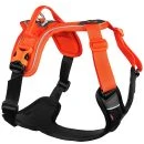 Koirien valjaat Koirien valjaat