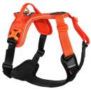 Siirry ryhmään Koiran pannat, valjaat ja taluttimet