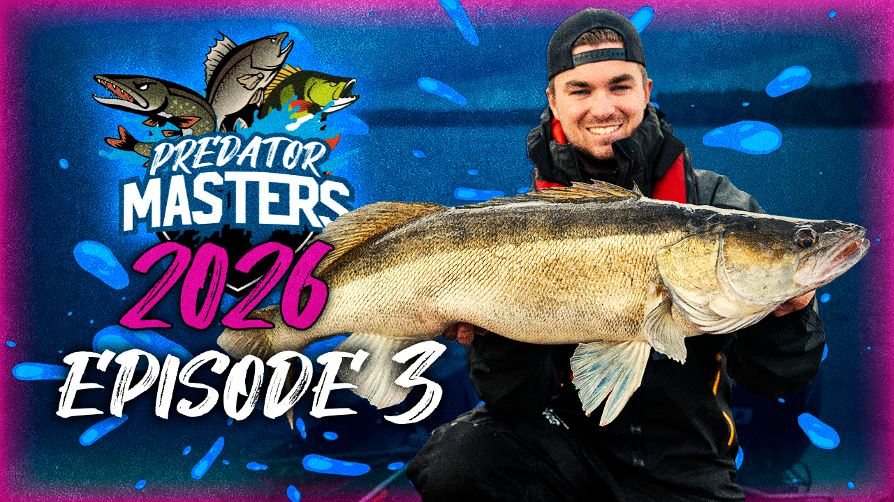PredatorMasters 2026 Jakso 3