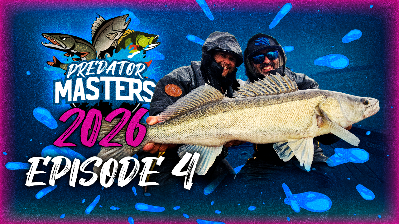 PredatorMasters 2026 Jakso 4