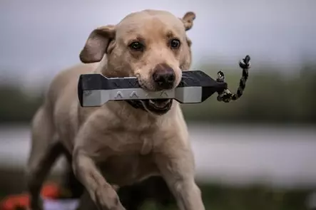 ASD Perfect Hold Dummy 3" Flasher - Koiran koulutusdummyt - 0700905027460 - 2