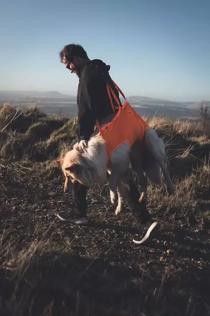 Non-stop Dog Rescue Sling Pro - Muut koiratarvikkeet - 7071652297530 - 2