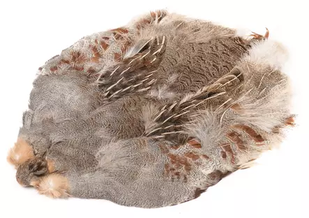 Wapsi #1 Hungarian Partridge Skin - Nahat, siivet ja päät - 762820008690 - 1