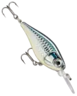 Rapala X-light Shad 4cm - Vaaput alle 6 cm - 2709202410 - 4