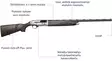 Beretta A400 Upland - Puoliautomaattihaulikot - A7C514A2114030 - 5