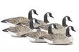 Final Approach Last Pass Floating Canada Geese 6pcs - Houkutuskuvat / -kaaveet - 712131970000 - 1