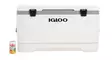 Igloo Marine Ultra 95l Cooler White - Kylmälaukut ja -laatikot - 0034223495480 - 4