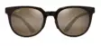 Maui Jim Wailua - Transluecent Rootbeer Frame with HCL Bronze Lens - Muovilinssit - 603429069070 - 2