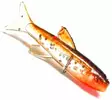 Orka Small Fish 3cm 6kpl - Haarapyrstöiset jigit - 86050395208680000 - 19