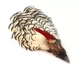 Veniard Amherst Pheasant Head No.1 - Nahat, siivet ja päät - 5056304600007 - 1