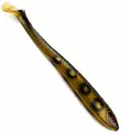 XL-Fättis 35cm 170g - Haukishadit yli 100g - 0401202010 - 14