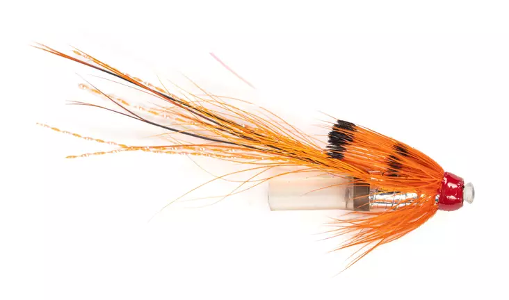 Black Boar Orange Copper Tube - Putkiperhot - 8859202536280 - 1