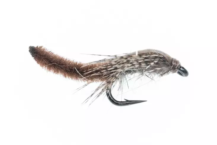 Chenille Pupa Brown -pintapupa - Nymfit ja larvat - 06429810537300 - 1