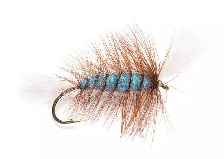 Pompero Labatt Blue -lohipinturi - Lohiperhot - 8859202532510 - 2