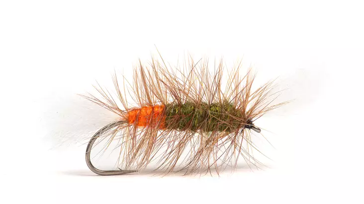 Pompero Olive / Fl. Orange Hot Spot - Muut lohiperhot - 8859202536440 - 2