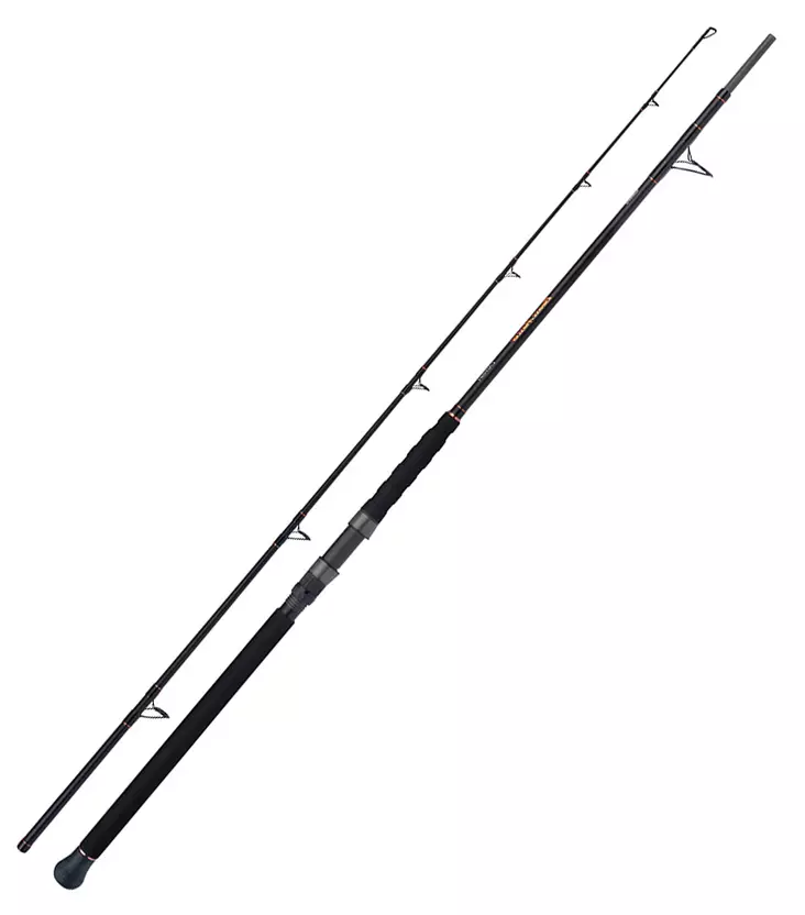Shimano Beastmaster AX Catfish Multi 230cm 200g Spinning 2pc - Saltwater-avokelavavat - 8717009868310 - 1