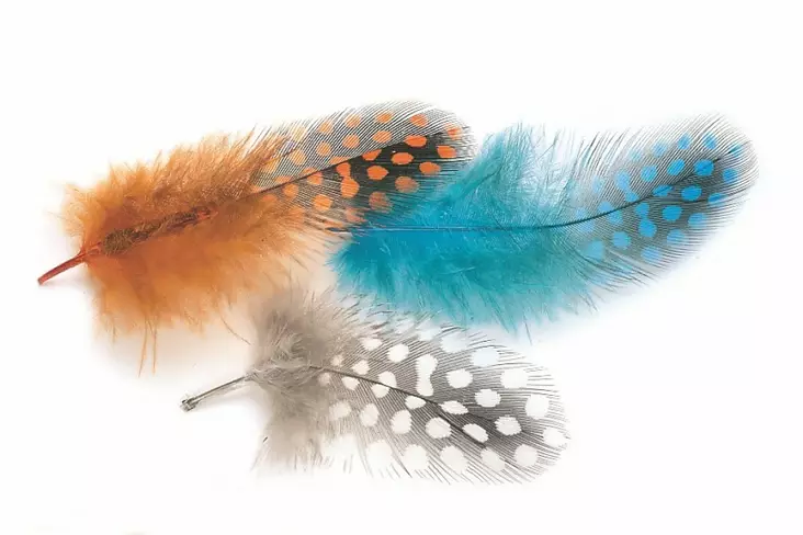 Veniard Guinea Body Feathers - Muut sulat ja höyhenet - 40400400040 - 1