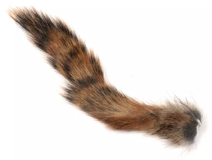 Wapsi Pine Squirrel Tail - Hännät ja häntäpalat - 40500300680 - 1