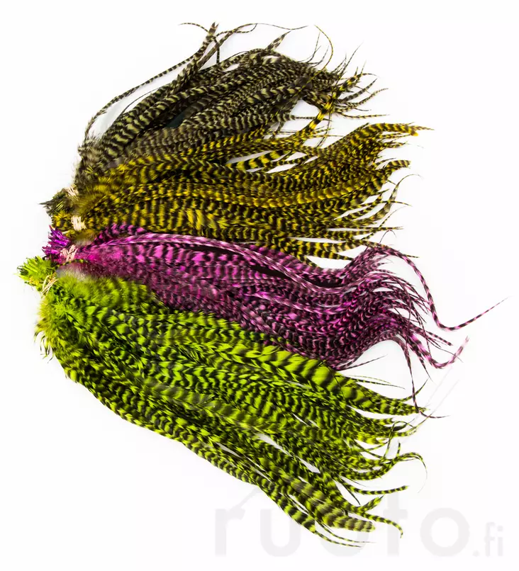 Whiting Schlappen Bundle 6-10in - Muut sulat ja höyhenet - 4045030000010 - 1