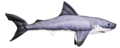 Gaby Great White shark 120cm - Pehmokalat - 5905279175761 - 1