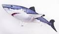 Gaby Great White shark 120cm - Pehmokalat - 5905279175761 - 2