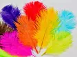 Frödinflies Ostrich Body Feather Pack - Muut sulat ja höyhenet - 7340154611111 - 3