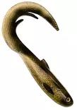 Headbanger Firetail 17cm 56g - Haukishadit yli 100g - 1604202211 - 11