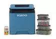 Igloo IE27 Thermoelectric Cooler 12V/230V 27 l Blue - Kylmälaukut ja -laatikot - 7315091520171 - 7