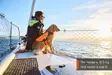 Non-stop Dogwear Protector Life Jacket Orange - Koiran liivit ja -vaatteet - 7071652173421 - 9