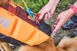 Non-stop Dogwear Protector Life Jacket Orange - Koiran liivit ja -vaatteet - 7071652173421 - 8
