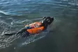 Non-stop Dogwear Protector Life Jacket Orange - Koiran liivit ja -vaatteet - 7071652173421 - 4