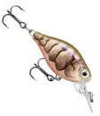 Rapala X-light Crank Midrunner 3,5cm - Vaaput alle 6 cm - 34004001 - 9