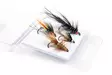 Salmon Flies Selection - Finland Special - Perholajitelmat - 8859202531391 - 1