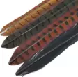 Soldarini Pheasant Tail - Muut sulat ja höyhenet - 2025011741 - 1
