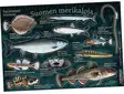 Suomen merikaloja - Kalatarrat - Painotuotteet - 6430048500691 - 1