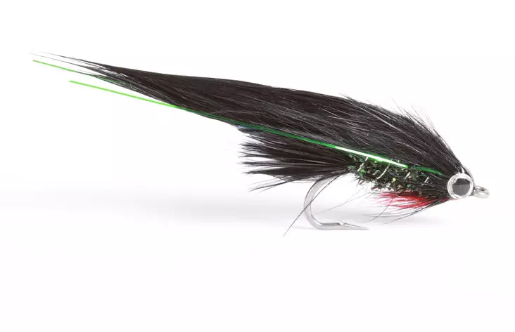 Dark Lord Zonker - Kalajäljitelmät - 7033840130241 - 1