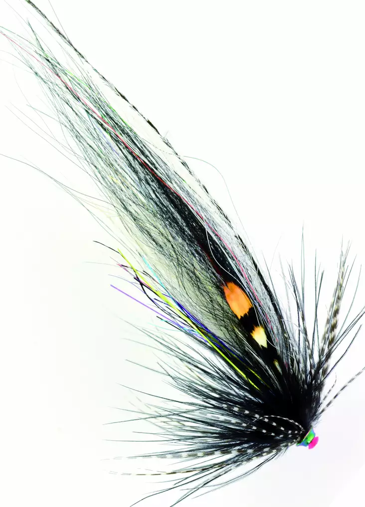 Frödin Flies TTT NoBody Series Zebra - Putkiperhot - 7340154606851 - 1