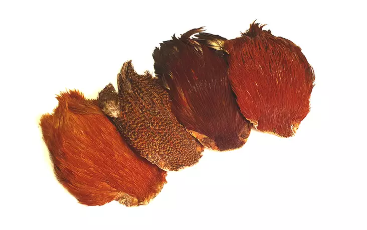 FTS Indian Cock Cape - Muut kukonniskat ja -satulat - 6417512011 - 1