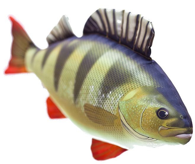 Gaby Ahven Pehmokala - Pehmokalat - 5905279175051 - 1