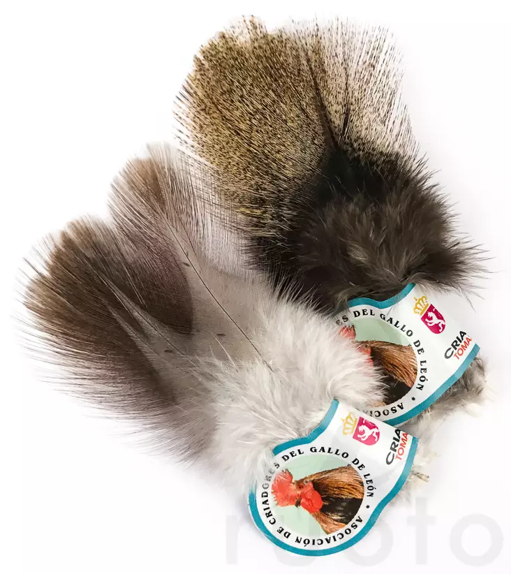 Hareline Coq De Leon - Muut sulat ja höyhenet - 40450200501 - 1