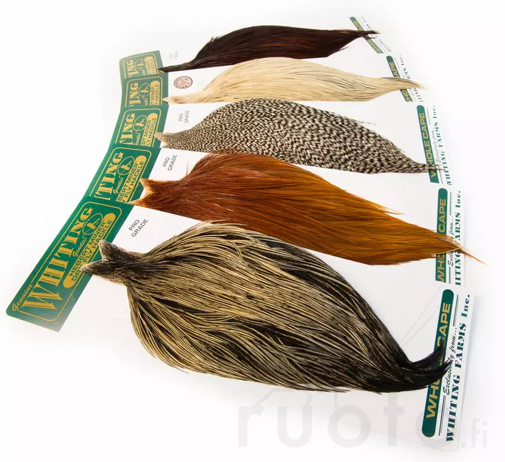 Hebert Dry Fly Cape Pro Grade - Pintaperhoniskat ja -satulat - 40350100001 - 1