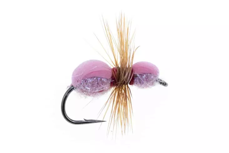 Pink Ant -pintaperho - Pintaperhot - 06429810537461 - 1